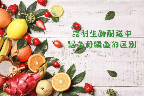 鰻魚(yú)和鱔魚(yú)的區別有哪些？