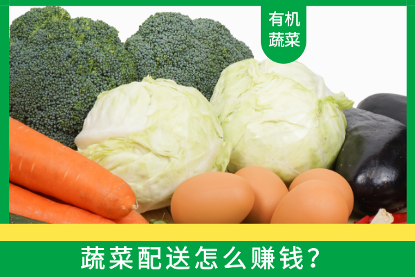 蔬菜配送怎么賺錢(qián)？