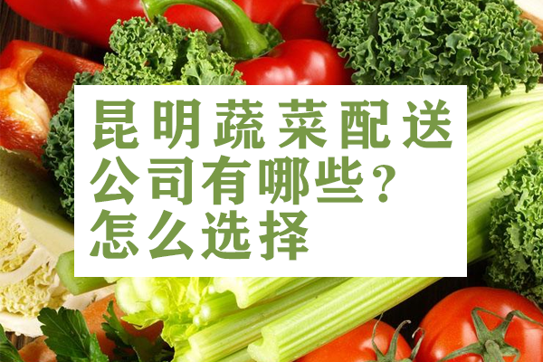 昆明蔬菜配送公司有哪些？怎么選擇