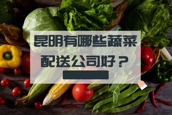昆明有哪些蔬菜配送公司好？