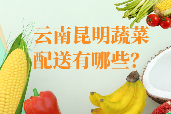 云南昆明蔬菜配送有哪些？
