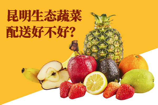 昆明生態(tài)蔬菜配送好不好？