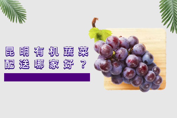昆明有機蔬菜配送哪家好？