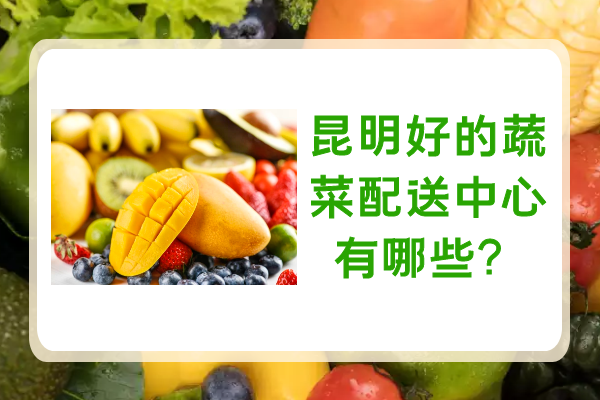 昆明好的蔬菜配送中心有哪些？