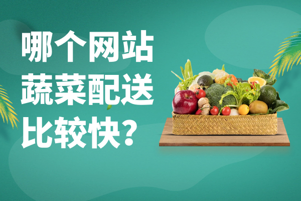 哪個(gè)網(wǎng)站蔬菜配送比較快？